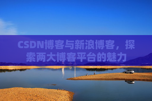 CSDN博客与新浪博客，探索两大博客平台的魅力